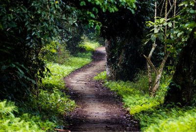 Cuc Phuong National Park
